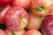 Cuộc chiến thương mại khiến nông dân trồng táo ở Mỹ như ngồi trên đống lửa