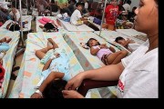 69 người ở Thái Lan đã thiệt mạng do dịch sốt xuất huyết